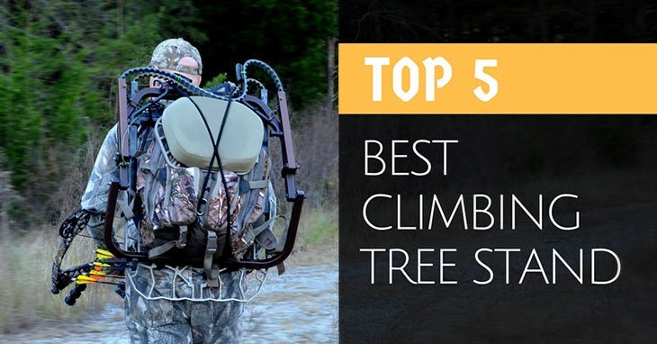 best-climbing-tree-stand