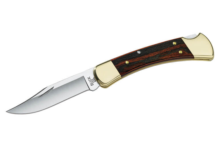 Buck Knives 110 Famous Folding Hunter Knife